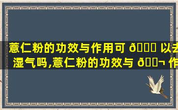 薏仁粉的功效与作用可 🐎 以去湿气吗,薏仁粉的功效与 🐬 作用可以去湿气吗女性